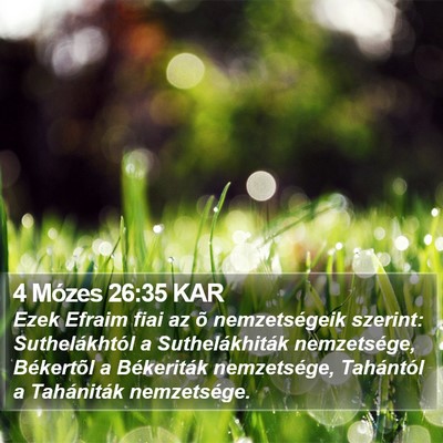 4 Mózes 26:35 KAR Bible Verse Image