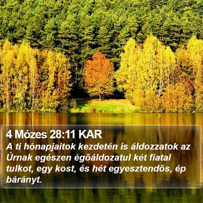 4 Mózes 28:11 KAR Bible Verse Image