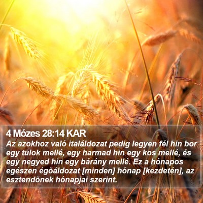 4 Mózes 28:14 KAR Bible Verse Image