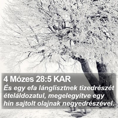 4 Mózes 28:5 KAR Bible Verse Image