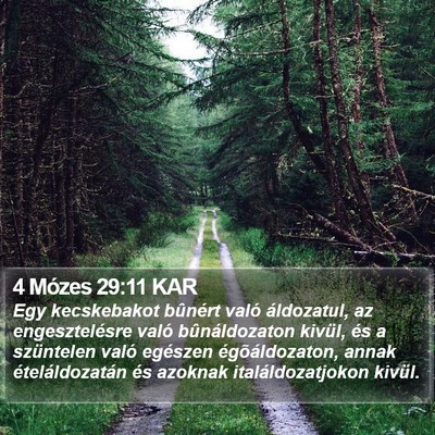 4 Mózes 29:11 KAR Bible Verse Image