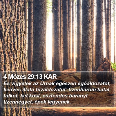 4 Mózes 29:13 KAR Bible Verse Image