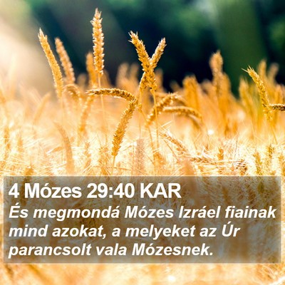 4 Mózes 29:40 KAR Bible Verse Image