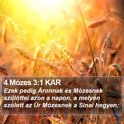 4 Mózes 3:1 KAR Bible Verse Image