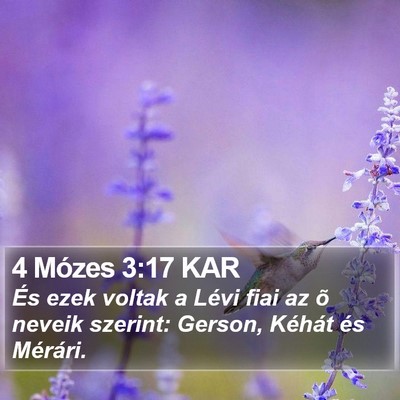 4 Mózes 3:17 KAR Bible Verse Image