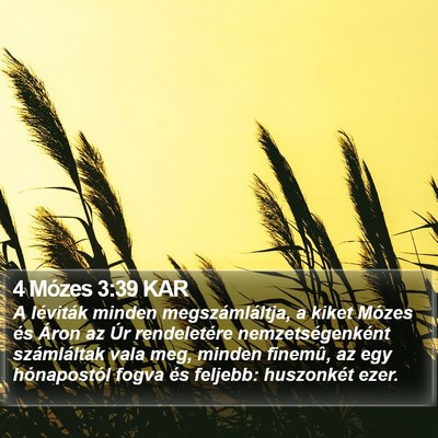 4 Mózes 3:39 KAR Bible Verse Image