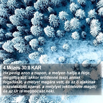 4 Mózes 30:8 KAR Bible Verse Image