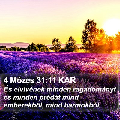 4 Mózes 31:11 KAR Bible Verse Image