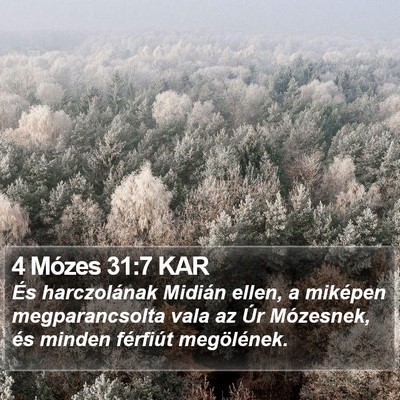 4 Mózes 31:7 KAR Bible Verse Image