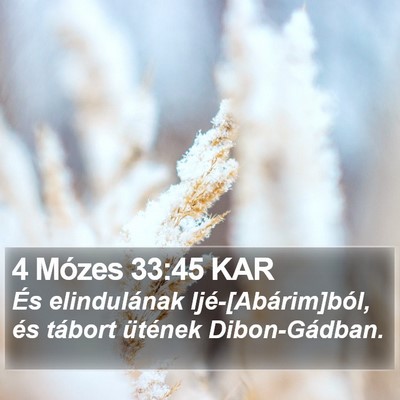 4 Mózes 33:45 KAR Bible Verse Image