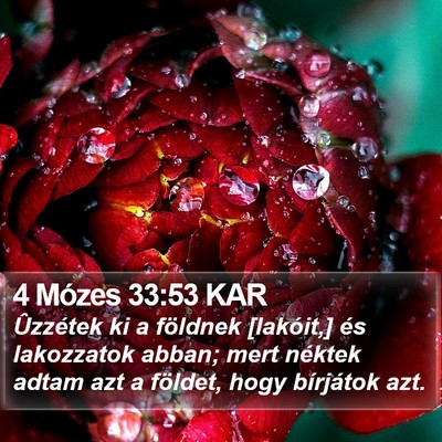 4 Mózes 33:53 KAR Bible Verse Image