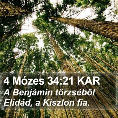 4 Mózes 34:21 KAR Bible Verse Image
