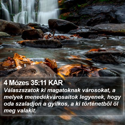 4 Mózes 35:11 KAR Bible Verse Image