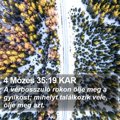 4 Mózes 35:19 KAR Bible Verse Image