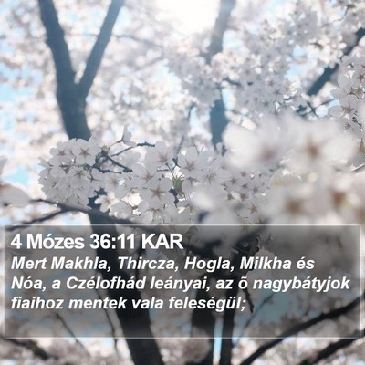 4 Mózes 36:11 KAR Bible Verse Image