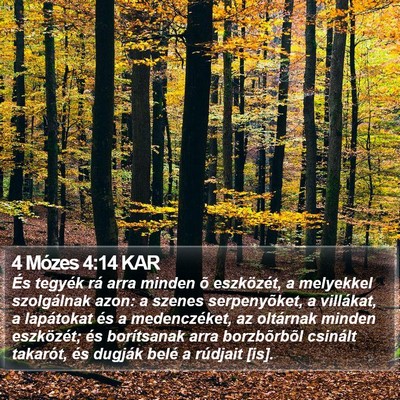 4 Mózes 4:14 KAR Bible Verse Image