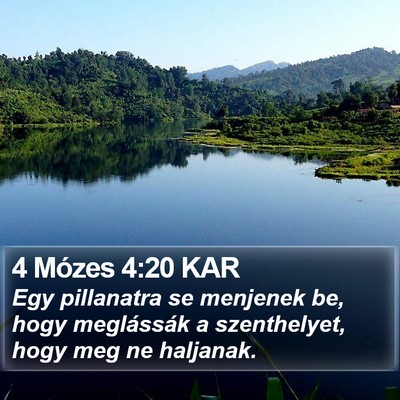 4 Mózes 4:20 KAR Bible Verse Image