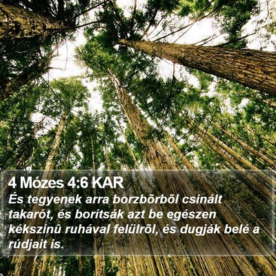 4 Mózes 4:6 KAR Bible Verse Image