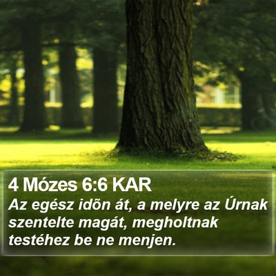 4 Mózes 6:6 KAR Bible Verse Image