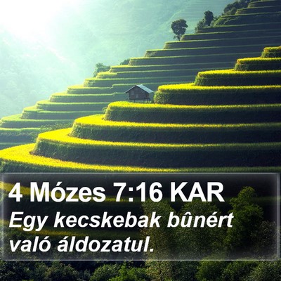 4 Mózes 7:16 KAR Bible Verse Image