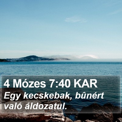 4 Mózes 7:40 KAR Bible Verse Image