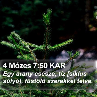 4 Mózes 7:50 KAR Bible Verse Image