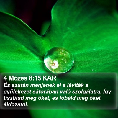 4 Mózes 8:15 KAR Bible Verse Image