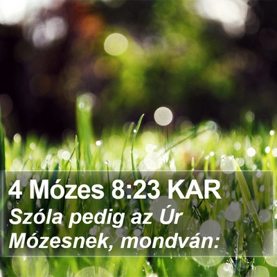 4 Mózes 8:23 KAR Bible Verse Image