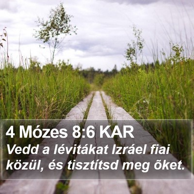 4 Mózes 8:6 KAR Bible Verse Image