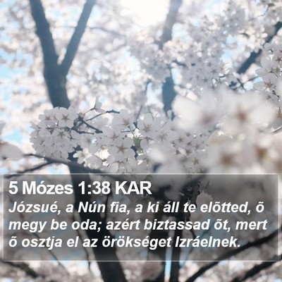 5 Mózes 1:38 KAR Bible Verse Image