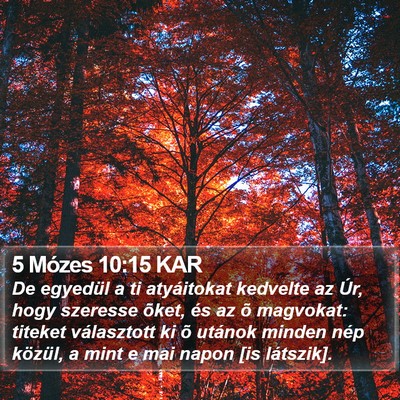 5 Mózes 10:15 KAR Bible Verse Image