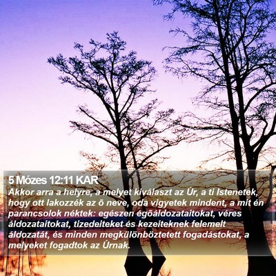 5 Mózes 12:11 KAR Bible Verse Image