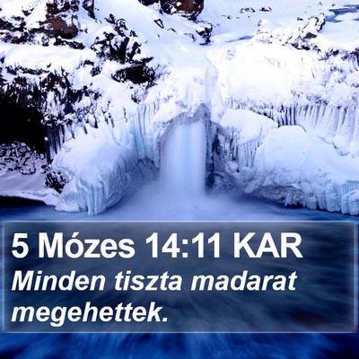 5 Mózes 14:11 KAR Bible Verse Image