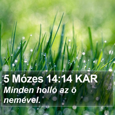 5 Mózes 14:14 KAR Bible Verse Image