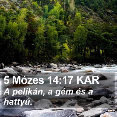 5 Mózes 14:17 KAR Bible Verse Image