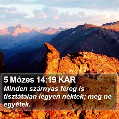 5 Mózes 14:19 KAR Bible Verse Image