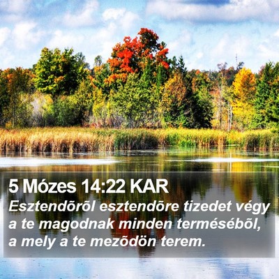 5 Mózes 14:22 KAR Bible Verse Image