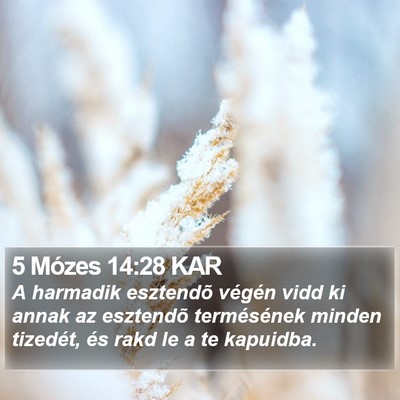 5 Mózes 14:28 KAR Bible Verse Image