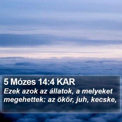 5 Mózes 14:4 KAR Bible Verse Image