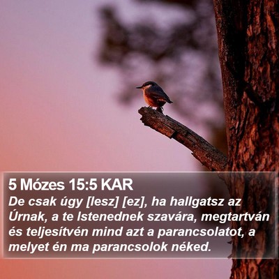5 Mózes 15:5 KAR Bible Verse Image
