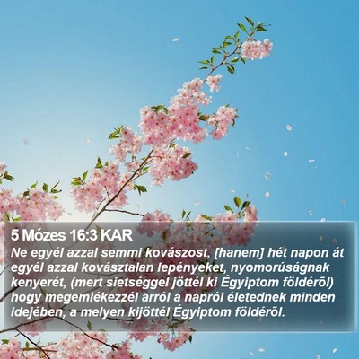 5 Mózes 16:3 KAR Bible Verse Image