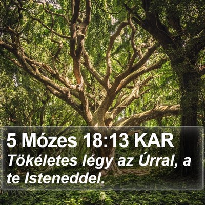 5 Mózes 18:13 KAR Bible Verse Image