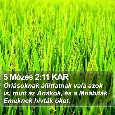 5 Mózes 2:11 KAR Bible Verse Image