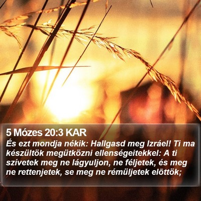 5 Mózes 20:3 KAR Bible Verse Image