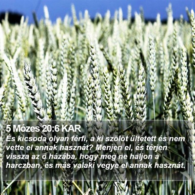 5 Mózes 20:6 KAR Bible Verse Image
