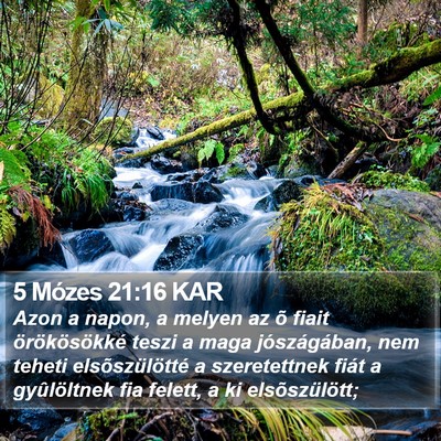 5 Mózes 21:16 KAR Bible Verse Image
