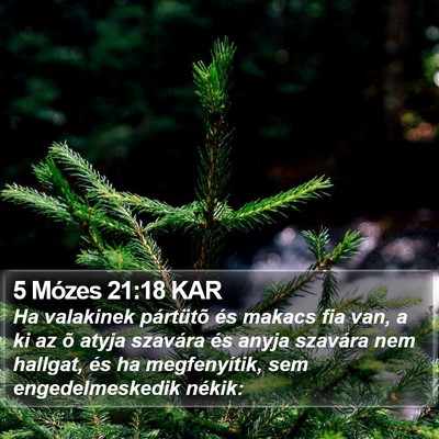 5 Mózes 21:18 KAR Bible Verse Image