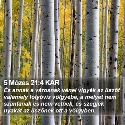 5 Mózes 21:4 KAR Bible Verse Image