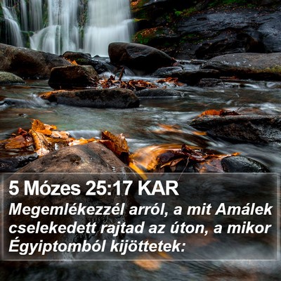 5 Mózes 25:17 KAR Bible Verse Image