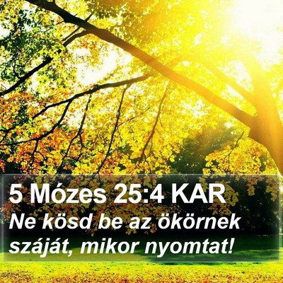 5 Mózes 25:4 KAR Bible Verse Image